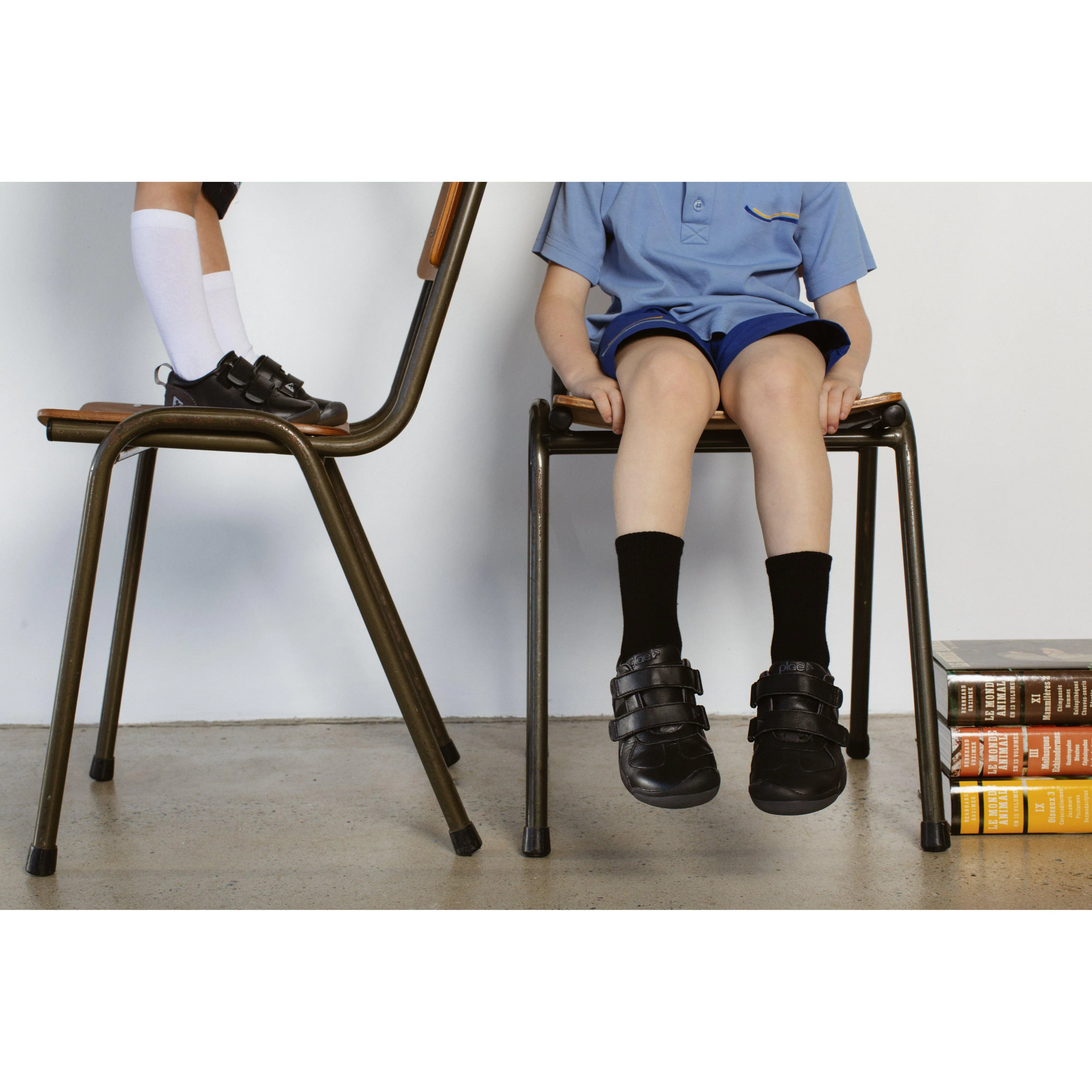 roan Black (12 kids)